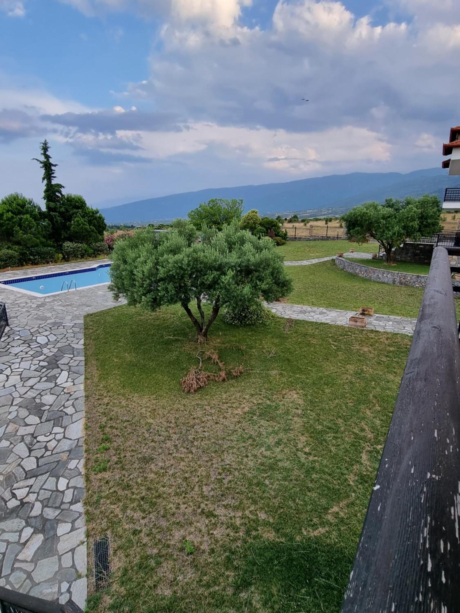 Villa Nefeli Leptokarya  Esterno foto