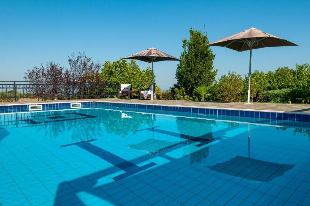 Villa Nefeli Leptokarya  Esterno foto
