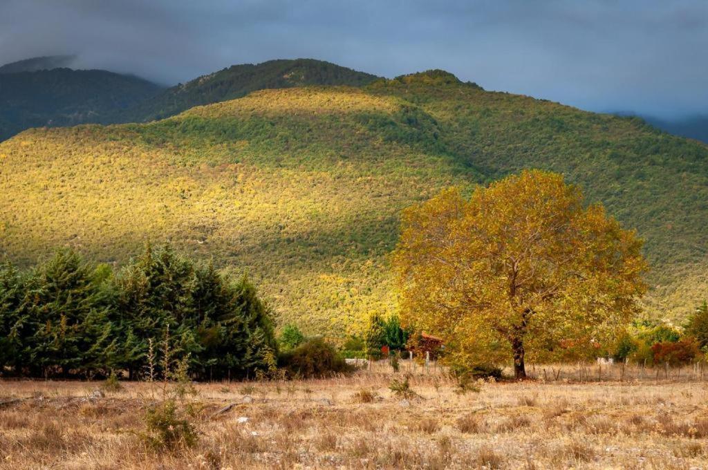Villa Nefeli Leptokarya  Esterno foto